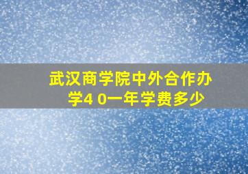 武汉商学院中外合作办学4 0一年学费多少